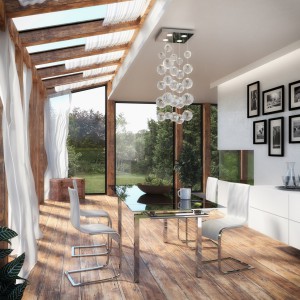 Modern Dining Room / Winter Garden