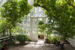 A green house full of flowers, plants and trees.